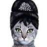 Lisa87120 profil fotoğrafı