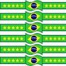 Regi... é Bolsonaro 2026 🇧🇷💄💪🏼 的头像