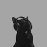Mimi's profile picture