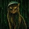 RAWRKITTY's profile picture
