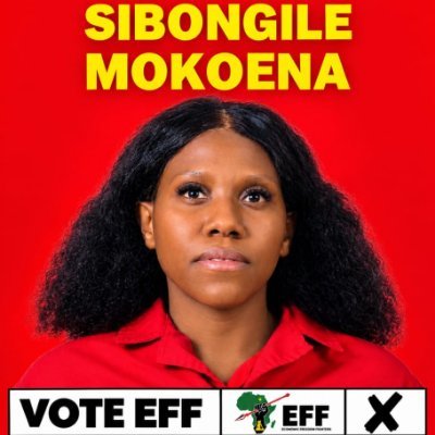 ThabaKoena's profile picture