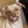 20money's profile picture