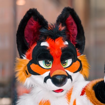 Comet's profile picture