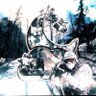Dream Clash's profile picture