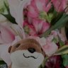 す ·'s profile picture