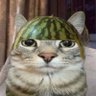 Profilbild von hesap kapandı5679