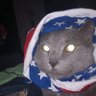 ThePiefishy. profil fotoğrafı