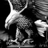Sedat Demirel profil fotoğrafı