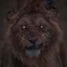 Фото профиля LionsEra 🇳🇬🇩🇪