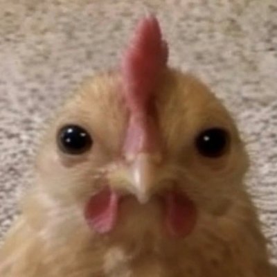 Beelce_'s profile picture