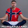 Profilbild von Pedro Raulland