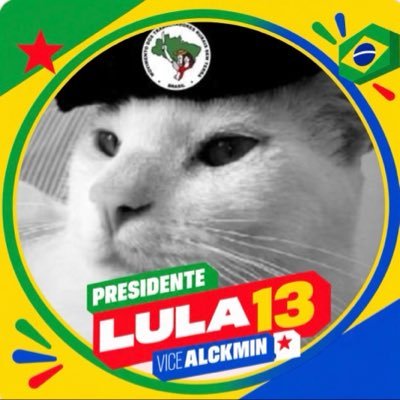 viccommie's profile picture