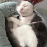Profilbild von Jefferson