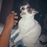 ♨️Mundinho enigmático💜🌈 profil fotoğrafı