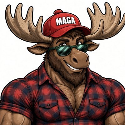 MoosesFelix's profile picture