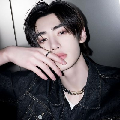 shlioon's profile picture