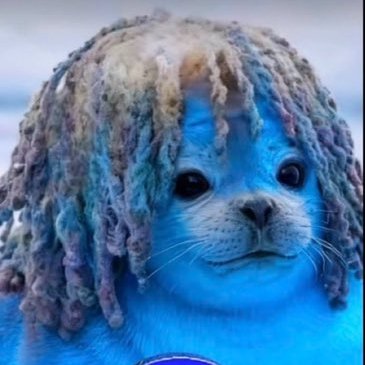 bassir 🇸🇳's profile picture