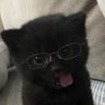 matt's profile picture