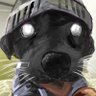 iTlacuache!'s profile picture