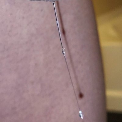 DOM TOP BREEDER's profile picture