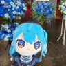 もちねこ/星詠み☄️|名古屋、神戸参戦!'s profile picture