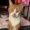 stipugatibo's profile picture