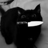 Eclipse 🐈⬛🐾 的头像