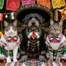 Profilbild von ClauHM ⊙⊝⊜ Saw🪐JeffSaturAtRedGiantConcert🇲🇽😭