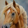 𝑵'𝑹𝒆𝒕𝒓𝒐𝒔𝒑𝒆𝒄𝒕 profil fotoğrafı