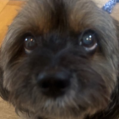 中嶋イッキュウ's profile picture
