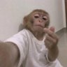 Profilbild von Jorge, o mexerico