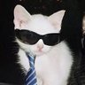 sav's profile picture