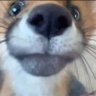 Void's profile picture