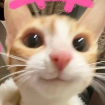M80 alvin's profile picture