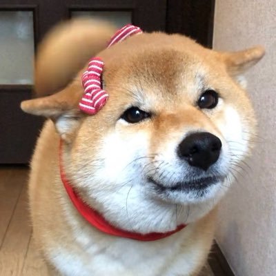 Takasan43228157's profile picture