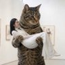 Фото профиля ともちゃん大好きよ