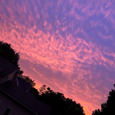 MovementYT_'s profile picture
