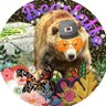 Profilbild von Bearlatte🐻🌉