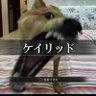 うんね's profile picture