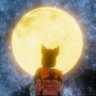 すみれ色なVR's profile picture