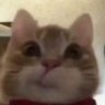 Profilbild von picolé sambista