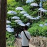 ひまゆりの父 profil fotoğrafı