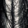 Фото профиля wire