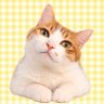 にゃご's profile picture