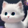 Profilbild von ONLY CAT'S 🐈😺