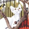 gp’s locker .'s profile picture