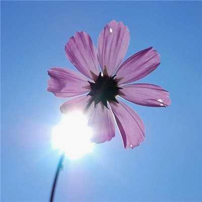 GloryDevosld's profile picture