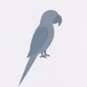 PARROT REPORT's profile picture