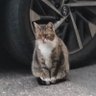 Profilbild von gunk
