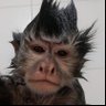 rabito maldito profil fotoğrafı